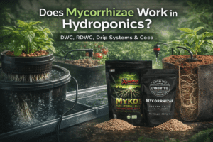 Does mycorrhizae work in hydroponics DWC RDWC drip and coco comparison