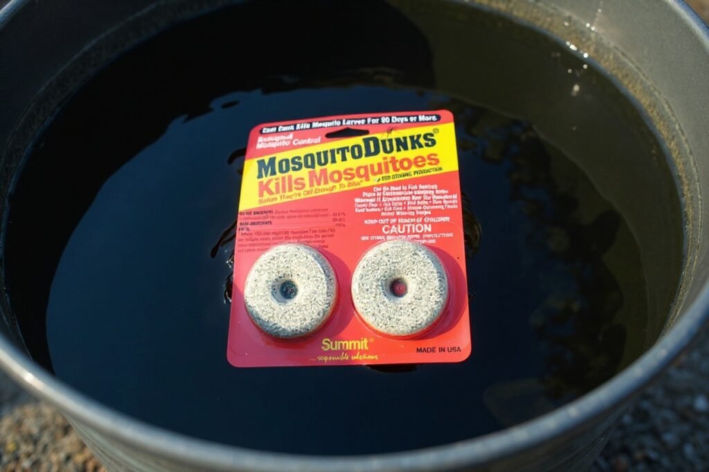 A mosquito dunk floating in standing water