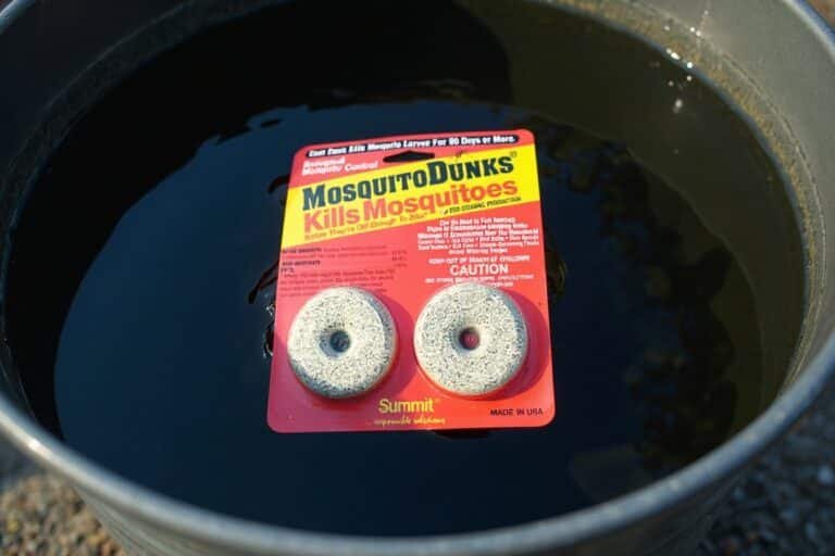 Do Mosquito Dunks Really Work for Standing Water?