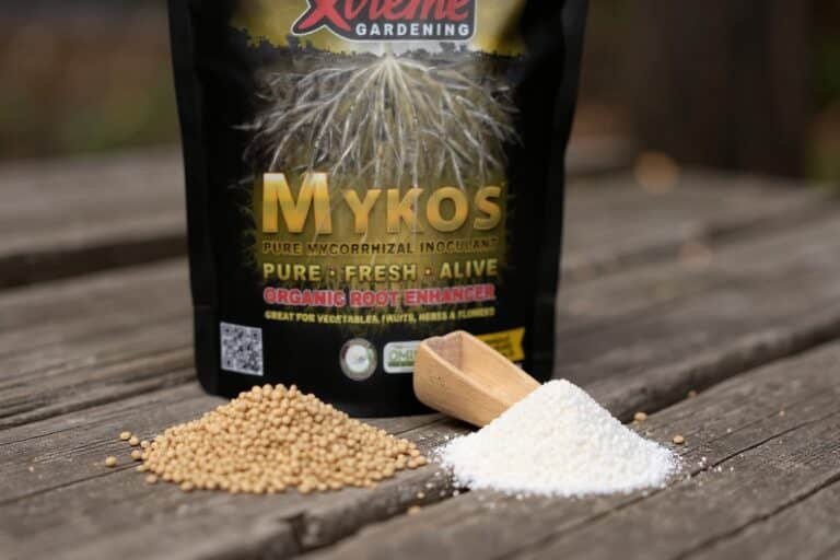 MYKOS Granular vs WP: Which One Should You Actually Buy?