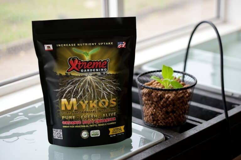 Does Mycorrhizae Work in Hydroponics? The Real Answer for DWC, RDWC & Coco Growers
