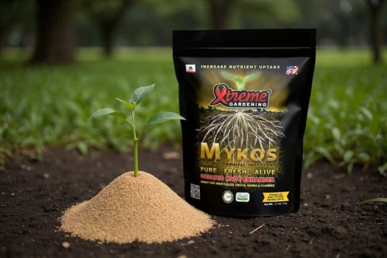 Can You Use Too Much Mycorrhizae? What Overapplying Really Does