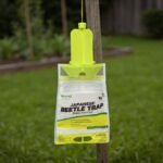 RESCUE Japanese beetle trap hanging on a post in a backyard