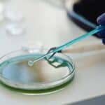 What Ontario's Free Well Water Test Actually Checks (and What It Doesn't) 4 Bacterial culture sample being tested in a lab petri dish