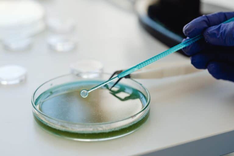 What Ontario’s Free Well Water Test Actually Checks (and What It Doesn’t)