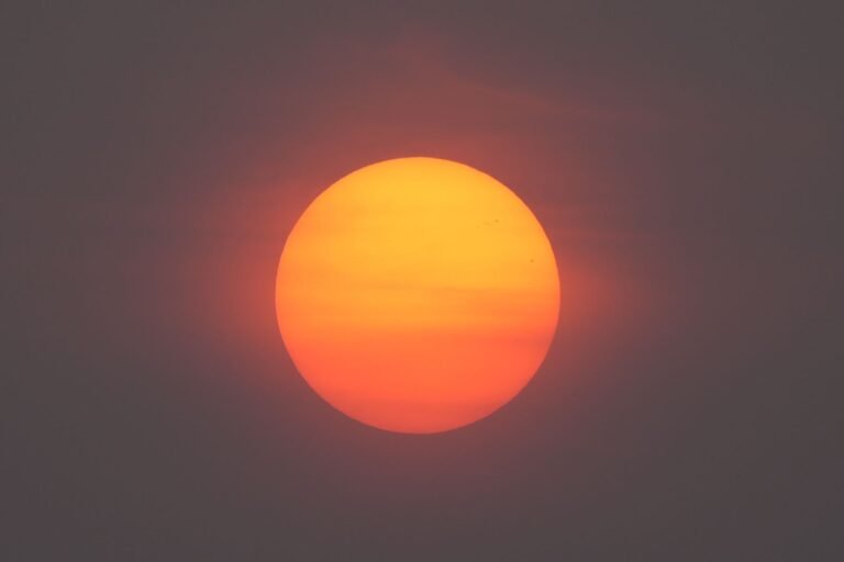 Best Air Purifiers for Wildfire Smoke Season in Canada (2026)